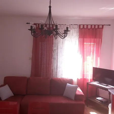 Rosa Rossa 8 *